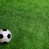 Perché nello Sport i panni sporchi si lavano in Famiglia