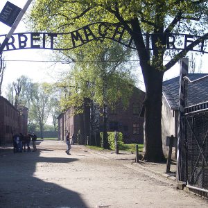 Quel rettangolo verde chiamato Auschwitz