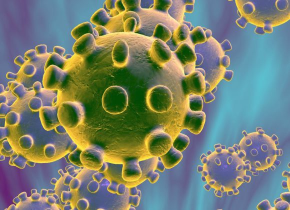 Coronavirus – Il Commento del nostro Presidente Giulio Bacosi all’Agenzia Italia Stampa Coronavirus – Il Commento del nostro Presidente Giulio Bacosi all’Agenzia Italia Stampa